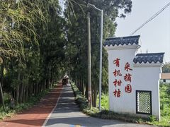 -上海长兴岛郊野公园