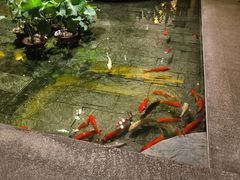 -惠食佳(滨江大公馆店)