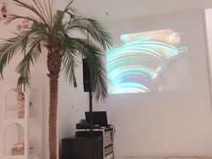 -春树下·树屋花房西餐厅(罍街AS1980店)