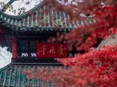 -岳麓山风景名胜区