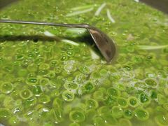青皮豆炖排骨-石门永惠土菜馆(雍景园店)
