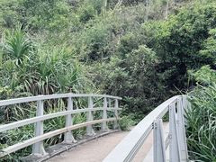 -南丫岛
