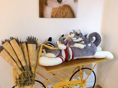 -Husky Go! 哈士奇体验馆·宠物咖啡厅狗咖