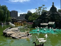 -团结湖公园