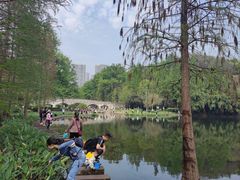 -重庆彩云湖湿地公园