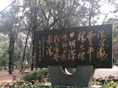 -宋井风景区
