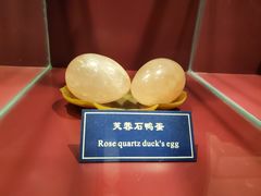-中国地质大学逸夫博物馆