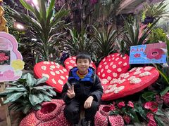 -正佳雨林生态植物园