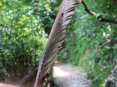 -鼓岭旅游度假区