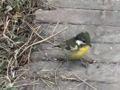 -国家植物园南园