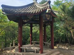 -云岗森林公园