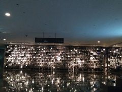 -武商摩尔影城(国广IMAX激光店)