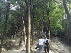 -火炉山森林公园
