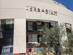 -墨尔本皇家植物园