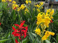 -苏州河梦清园环保主题公园