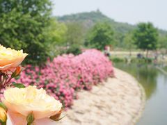 -上海辰山植物园