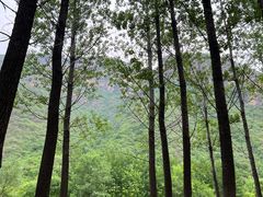 -百里山水画廊