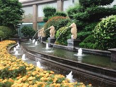 -青岛鑫江温德姆酒店