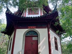 -上海佘山国家森林公园天马山园