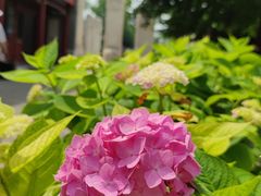 -北京石刻艺术博物馆(五塔寺)