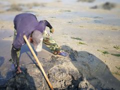 -北海金海湾红树林生态旅游区