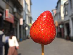 -老炳·七丛松甘草水果