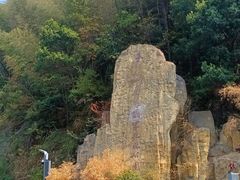-长沙黑麋峰国家森林公园
