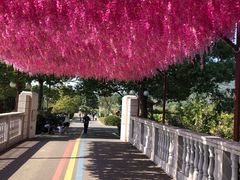 -苏州太湖西山岛开心农场