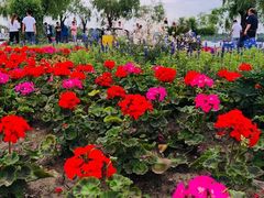 -长春市南湖公园