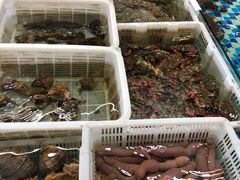 -87号烧烤海鲜·大排档(金沙滩店)