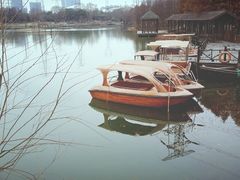 -昆山城市生态森林公园