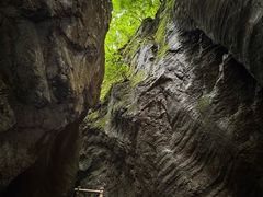 -牛背梁国家森林公园