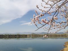 -颐和园
