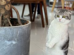 -seeu coffee(江滩店)