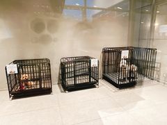 -阿那亚第六食堂(文创街区店)