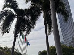 -Tims天好咖啡(华侨城步行街店)