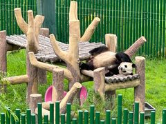 -沈阳森林动物园