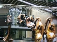-狮头牌卤味研究所·卤味饭(花城汇南区店)
