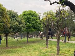 -洨河生态公园
