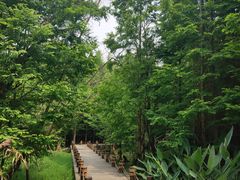 -桤木河湿地公园