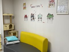 -谐和贝康宠物医院24小时·宠保定点(急重症转诊中心)