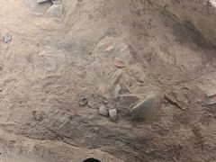 -常州淹城野生动物世界