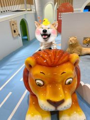 -meland亲子乐园•派对•研学(苏州悠方购物中心店)