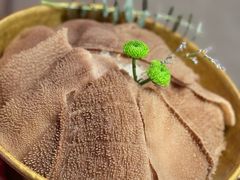 -巴奴毛肚火锅(七宝领展广场店)