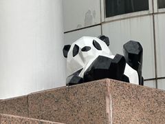 -九龙公园