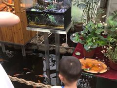 -上海大自然野生昆虫馆(东方明珠·爬宠昆虫探索中心)