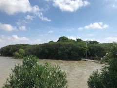 -上海吴淞炮台湾国家湿地公园