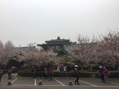 -田园小观园(武大店)