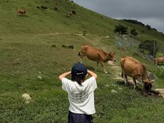 -大姆山草场