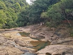 -广州白江湖森林公园